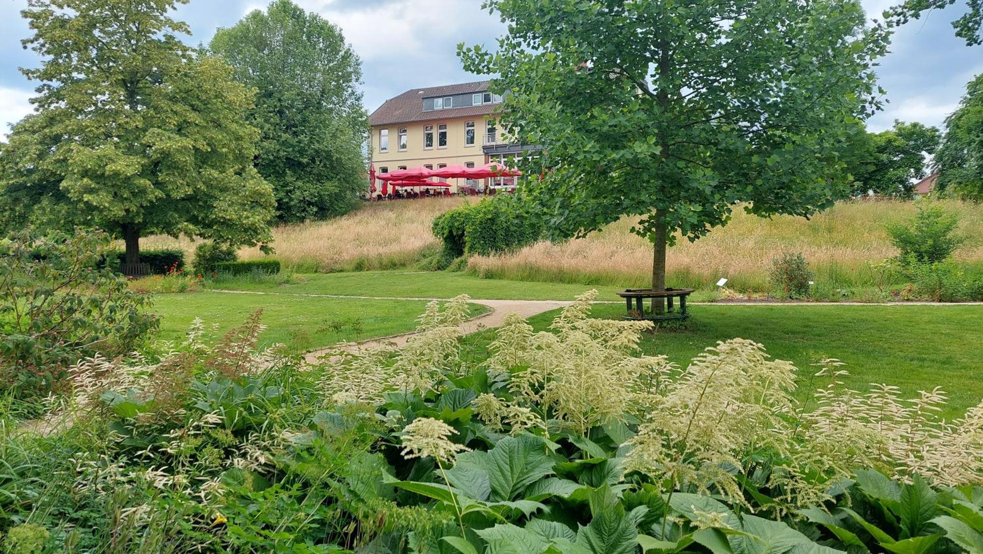 Ferienwohnung Am Freitagsbach ツェレ エクステリア 写真